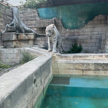 東武動物公園に投稿された画像（2024/6/11）