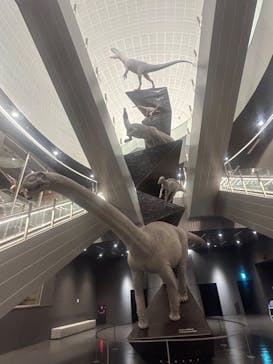 福井県立恐竜博物館に投稿された画像（2024/6/11）