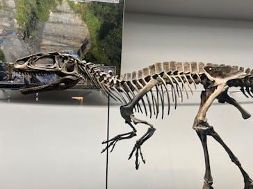 福井県立恐竜博物館に投稿された画像（2024/6/11）