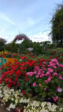 ひらかたパークに投稿された画像（2024/6/11）