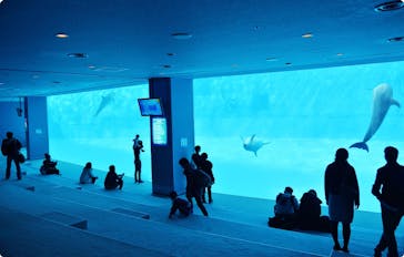 名古屋港水族館に投稿された画像（2022/5/3）