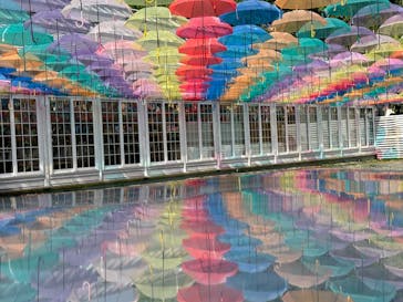 十勝ヒルズに投稿された画像（2024/6/11）