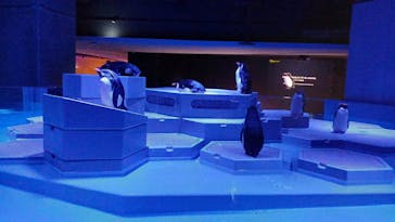 AOAO SAPPOROに投稿された画像（2024/6/11）