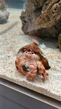 AOAO SAPPOROに投稿された画像（2024/6/11）