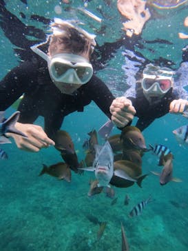 沖縄マリンサービス碧に投稿された画像（2024/6/12）