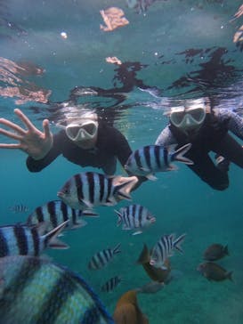 沖縄マリンサービス碧に投稿された画像（2024/6/12）