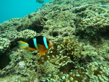 武藤潜水に投稿された画像（2024/6/12）