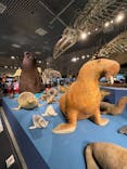 特別展「大哺乳類展３－わけてつなげて大行進」に投稿された画像（2024/6/12）