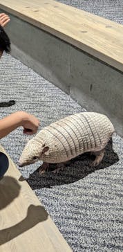 大分マリーンパレス水族館 「うみたまご」に投稿された画像（2024/6/8）