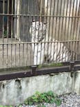 宇都宮動物園に投稿された画像（2024/6/12）
