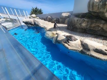 仙台うみの杜水族館に投稿された画像（2024/6/12）