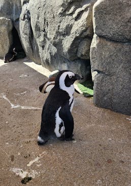 仙台うみの杜水族館に投稿された画像（2024/6/12）