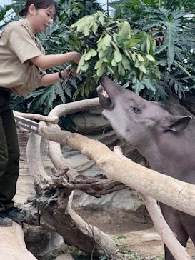 神戸どうぶつ王国に投稿された画像（2024/6/12）
