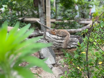神戸どうぶつ王国に投稿された画像（2024/6/12）