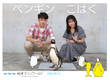 城崎マリンワールドに投稿された画像（2024/6/12）