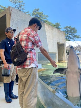 城崎マリンワールドに投稿された画像（2024/6/12）