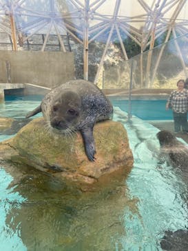 城崎マリンワールドに投稿された画像（2024/6/12）