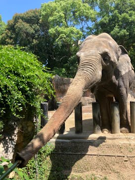 到津の森公園に投稿された画像（2024/6/12）