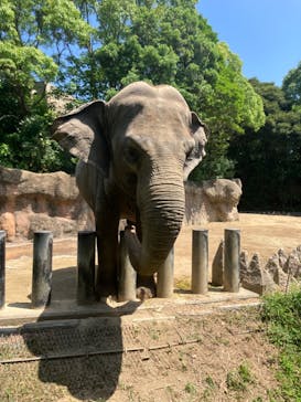 到津の森公園に投稿された画像（2024/6/12）