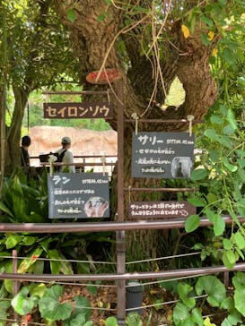 到津の森公園に投稿された画像（2024/6/12）