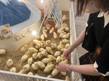 アニタッチ MARK IS 静岡に投稿された画像（2024/6/12）