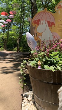 ムーミンバレーパークに投稿された画像（2024/6/12）