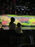 AQUARIUM × ART　atoaに投稿された画像（2024/6/12）