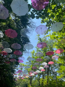 ムーミンバレーパークに投稿された画像（2024/6/12）