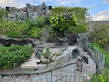 サンシャイン水族館に投稿された画像（2024/6/12）