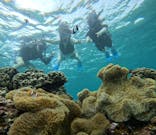 オースリーシュノーケル宮古島に投稿された画像（2024/6/12）