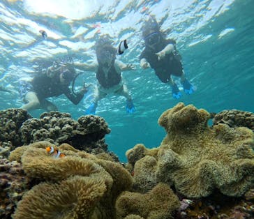 オースリーシュノーケル宮古島に投稿された画像（2024/6/12）