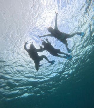 オースリーシュノーケル宮古島に投稿された画像（2024/6/12）