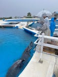 沖縄美ら海水族館（館内体験）に投稿された画像（2024/6/12）