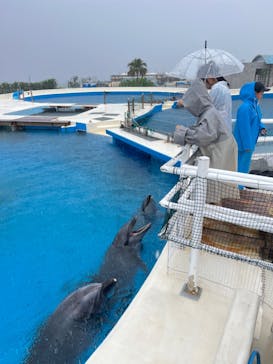 沖縄美ら海水族館（館内体験）に投稿された画像（2024/6/12）