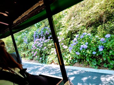 浜名湖花博2024に投稿された画像（2024/6/12）