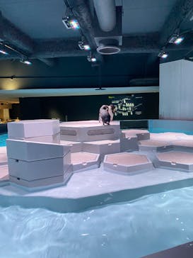 AOAO SAPPOROに投稿された画像（2024/6/12）