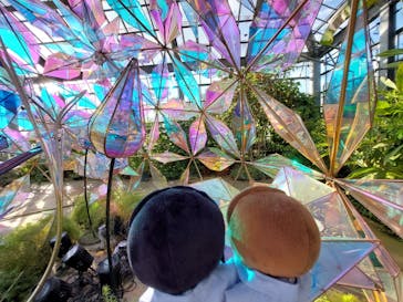 京成バラ園に投稿された画像（2024/6/12）