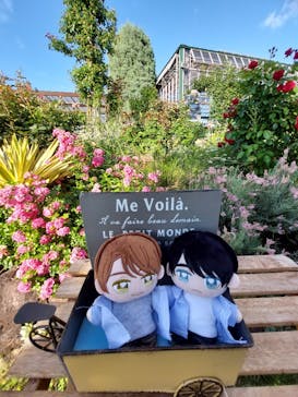 京成バラ園に投稿された画像（2024/6/12）