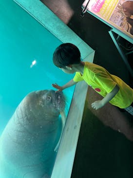 大分マリーンパレス水族館 「うみたまご」に投稿された画像（2024/6/12）