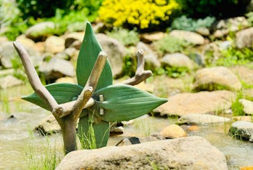 ムーミンバレーパークに投稿された画像（2024/6/12）