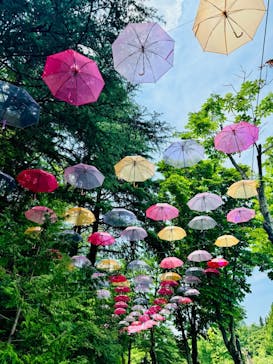 ムーミンバレーパークに投稿された画像（2024/6/12）