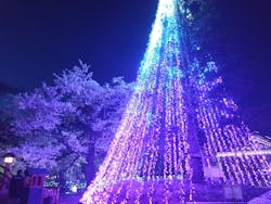 天然温泉 気楽坊に投稿された画像（2024/6/12）