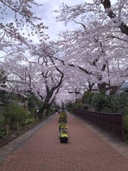天然温泉 気楽坊に投稿された画像（2024/6/12）