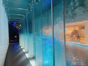 サンシャイン水族館に投稿された画像（2024/6/12）