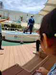 サンシャイン水族館に投稿された画像（2024/6/13）