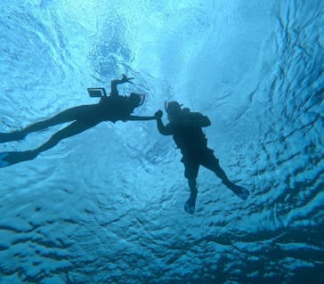 宮古島 ADVENTURE PiPi（ミヤコジマ アドベンチャー ピピ）に投稿された画像（2024/6/13）