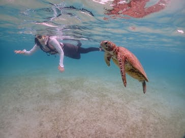 宮古島マリンショップSmileyに投稿された画像（2024/6/13）