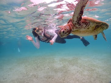 宮古島マリンショップSmileyに投稿された画像（2024/6/13）