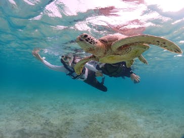 宮古島マリンショップSmileyに投稿された画像（2024/6/13）