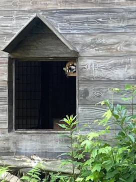 ひらかたパークに投稿された画像（2024/6/13）